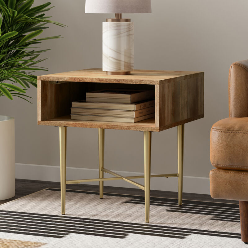 Fallon SOLID MANGO WOOD 20 inch Wide Square Contemporary End Table in Natural