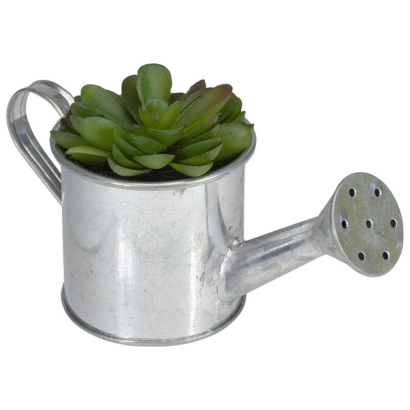 6" Potted Artificial Mini Echeveria Succulent with Watering Can