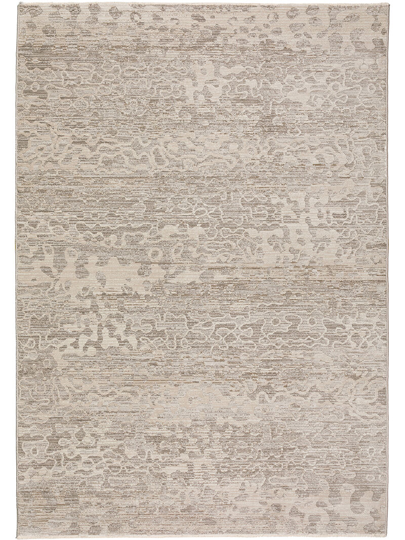 Denizi DZ6 Silver 3'3" x 5'3" Rug