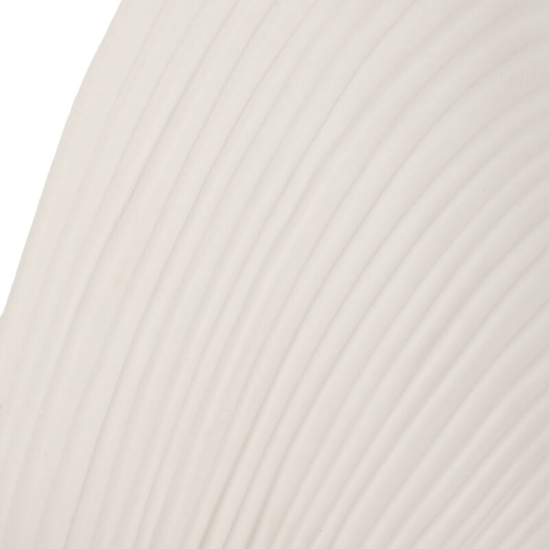 6" Seashell Decor, White image number 3