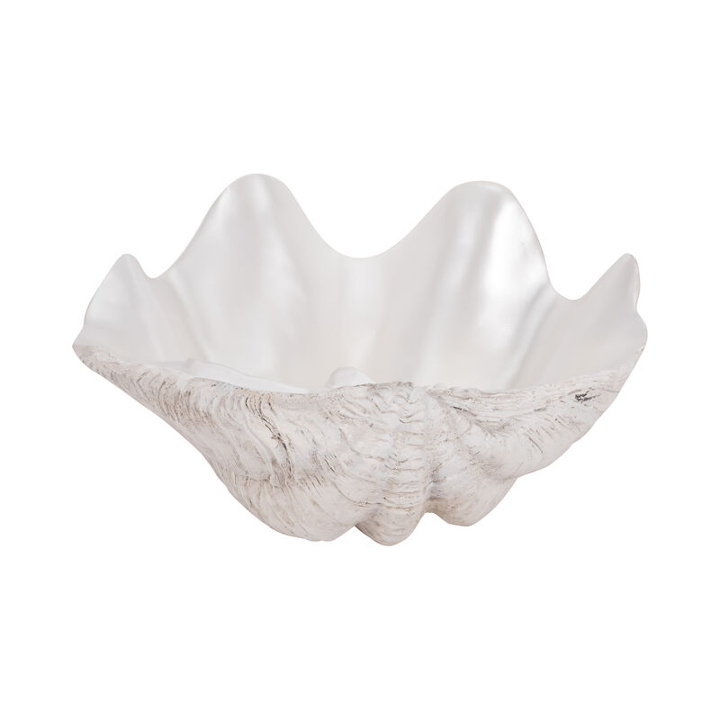 13" Pearlized Shell Bowl image number 4