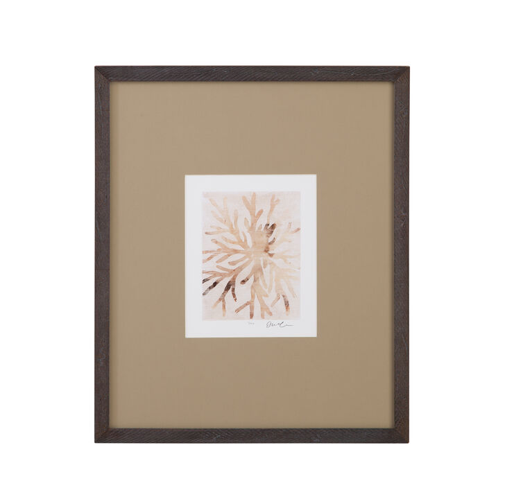 Parchment Coral II Framed Print