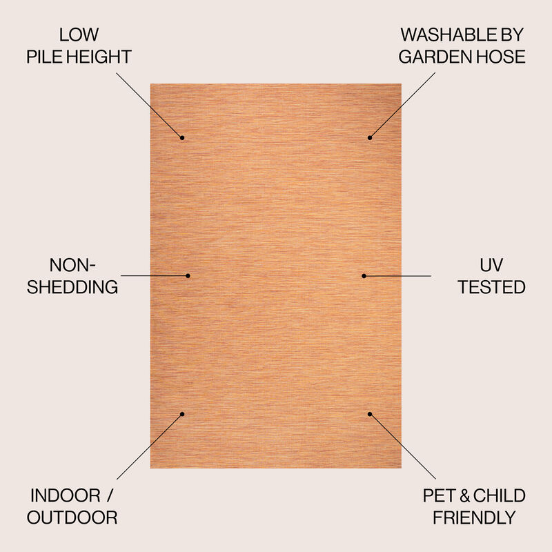 Ethan Modern Flatweave Solid Area Rug