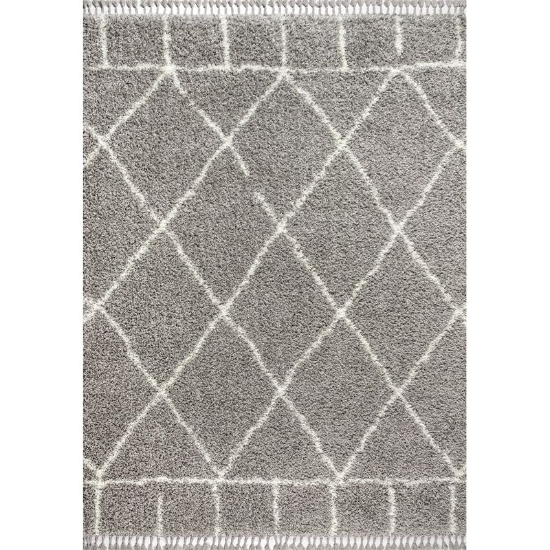 Mercer Shag Plush Tassel Moroccan Geometric Trellis Area Rug