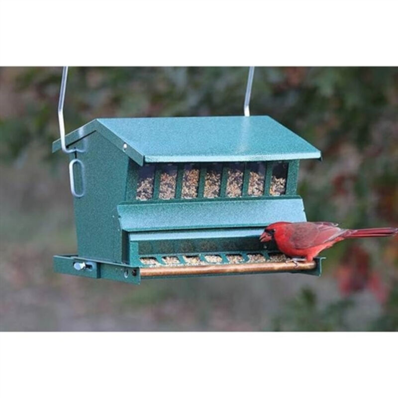 Rugged Metal Squirrel-Proof Bird Feeder for Easy Refills and Lasting Use