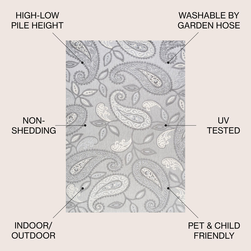 Julien Paisley High-Low Indoor/Outdoor Area Rug