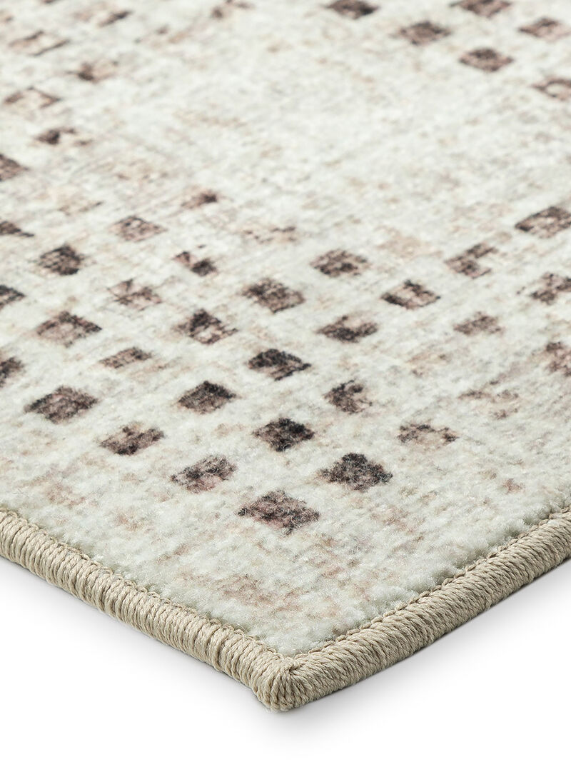 Delano DA1 Ivory 3' x 5' Rug