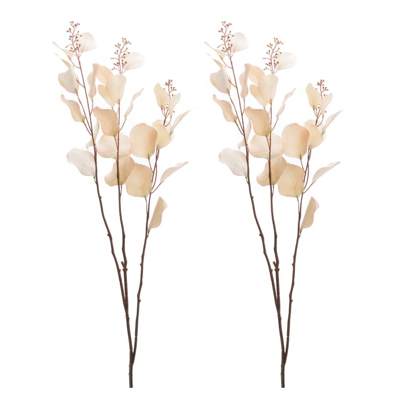 Seeded Eucalyptus Stem (Set of 2) – Artificial Greenery Branches for Vases, Bouquets, and Home Décor