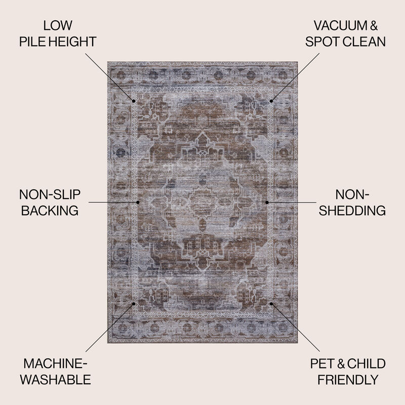 Alanya Ornate Medallion Machine-Washable Area Rug