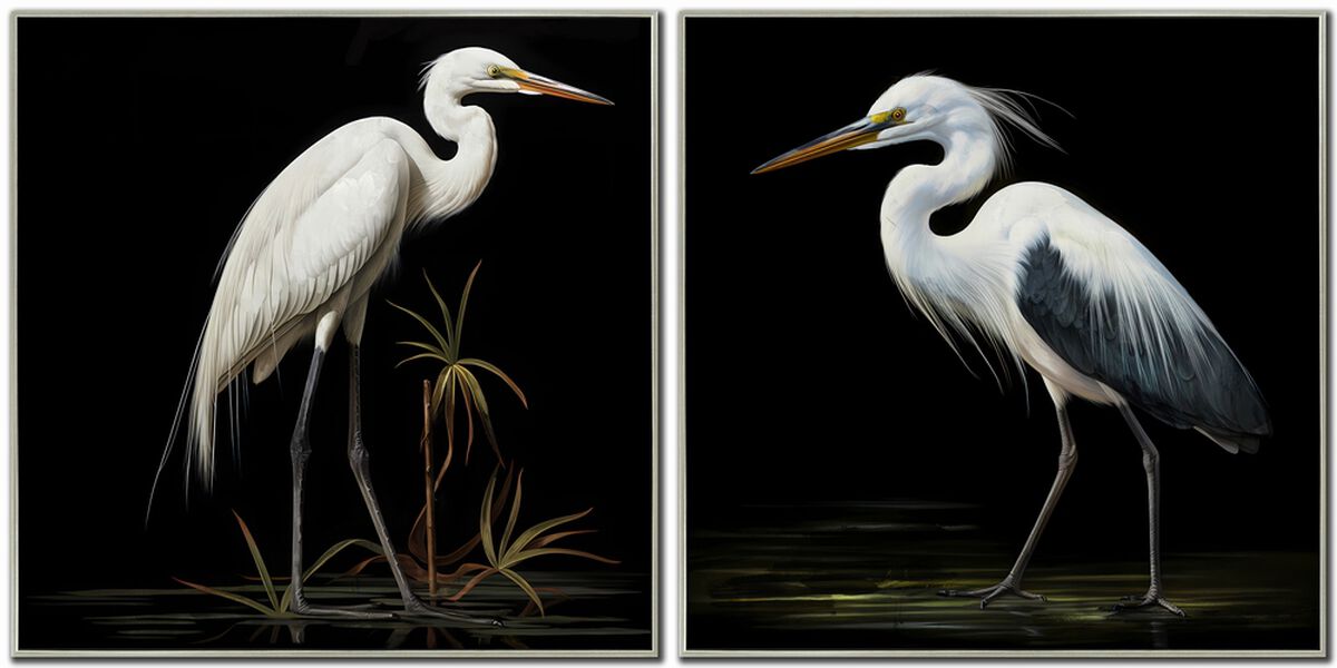 Midnight Heron (Set of 2)