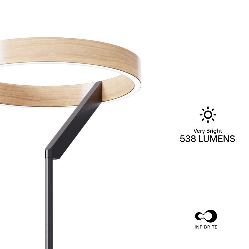 Modern 24W LED Floor Lamp 63 in. - 2700K Warm Light- Angled Design in Matte Black