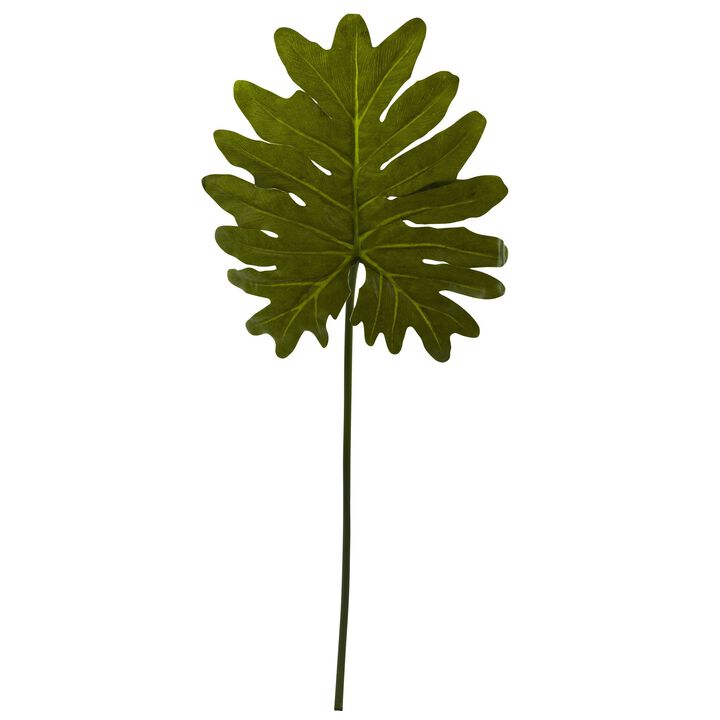 HomPlanti Selloum Philo Single Leaf Stem (Set of 12)