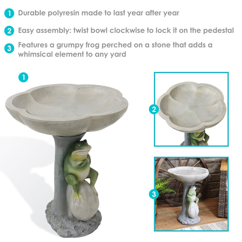 Sunnydaze Polyresin Brooding Frog on Stone Outdoor Garden Bird Bath - 22 in