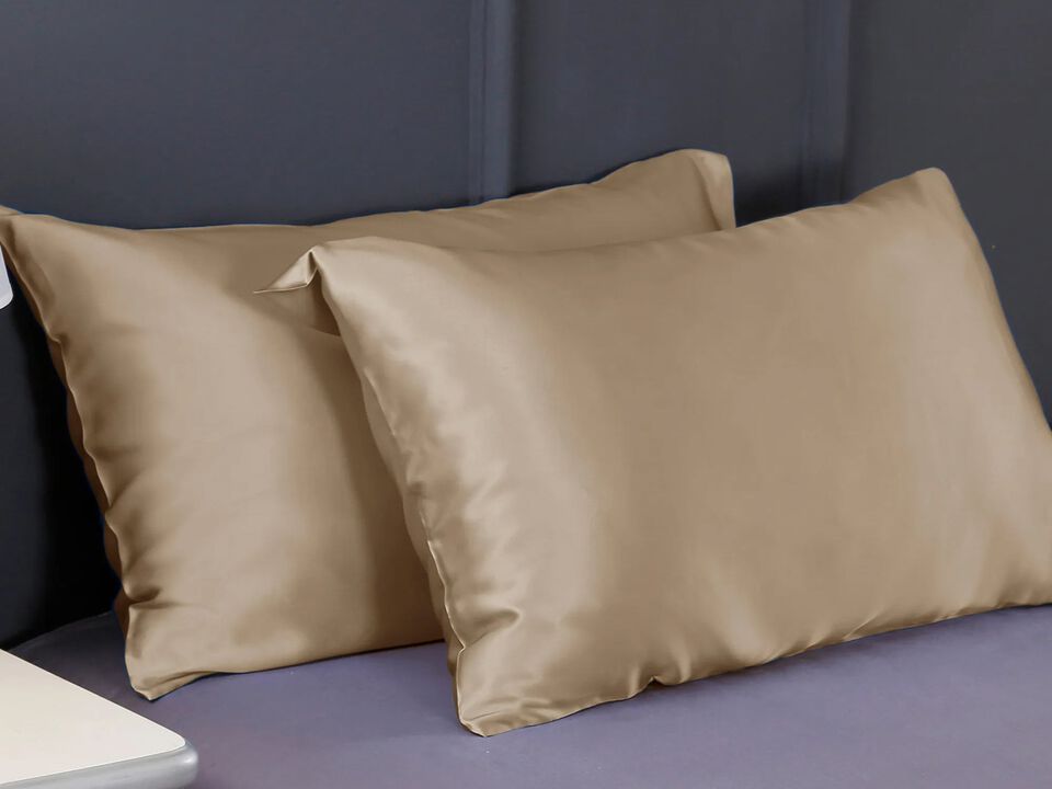 LilySilk 100% 19 Momme Pure Silk Pillowcase - Queen