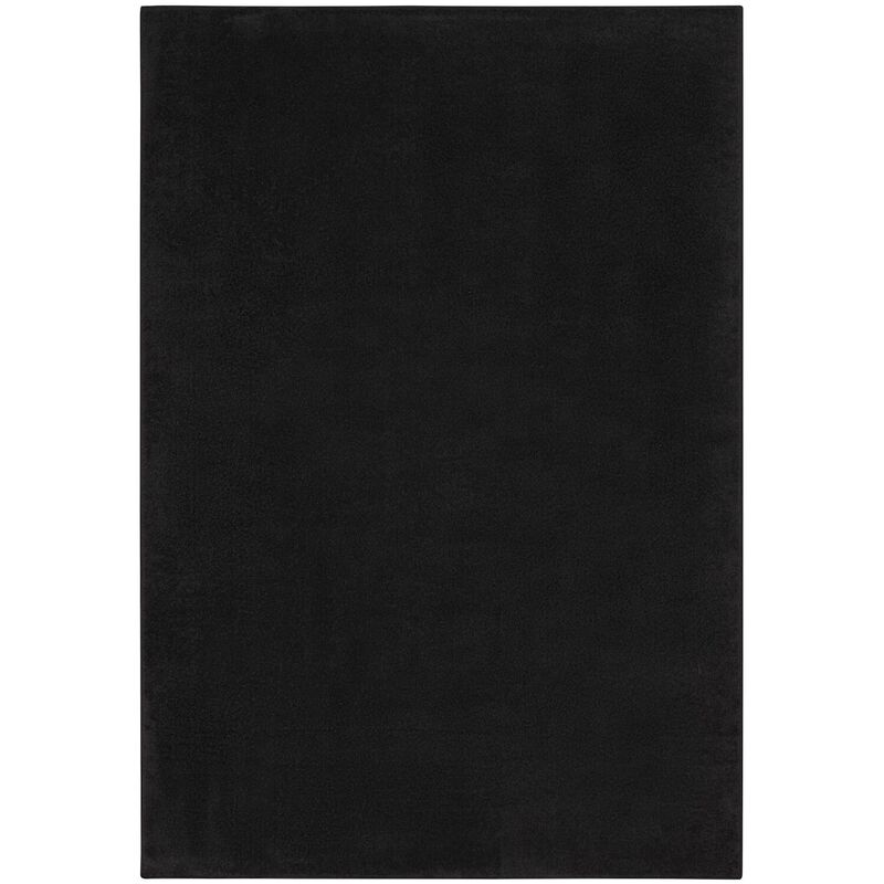 Nourison Essentials Indoor/Outdoor Black 5 x 8 Area Rug, Easy Cleaning, Non Shedding, Bed Room, Living Room, Dining Room, Kitc