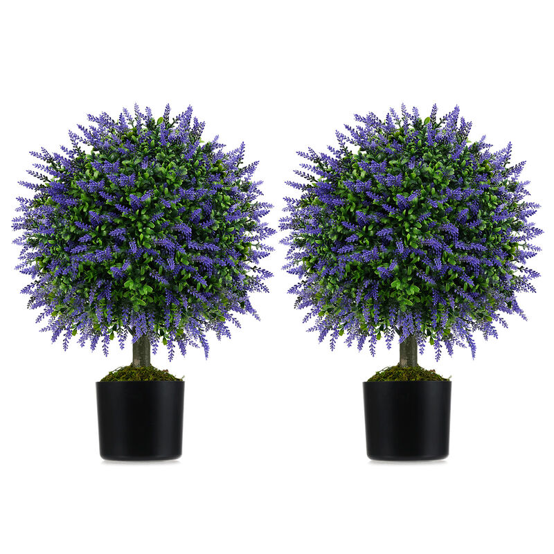 Lavender Topiary Ball Trees, Set of 2, with Cement-Filled Decorative Pots