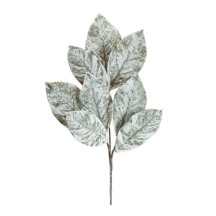 Frosted Winter Magnolia Leaf Spray for Holiday and Seasonal Décor (Set of 6)