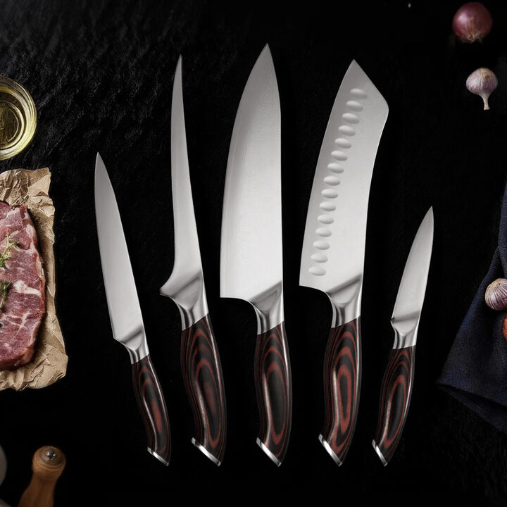 5 Piece Kitchen Knife Set, High Carbon Stainless Steel Cutlery with Ergonomic Handles