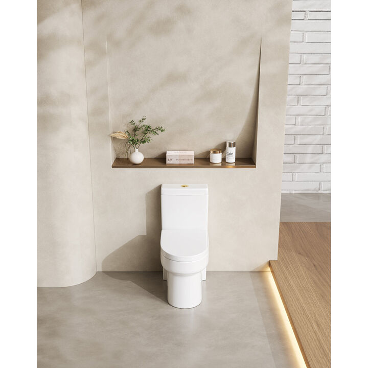 Bothwa Home 28.94" H Golden Flush Button 1.1/1.6 GPF Comfort Height Classic Water-Saving Super Quite Flushing Floor Mounted One-Piece Toilet, Soft Close