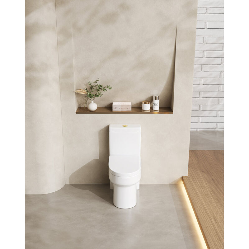 Bothwa Home 28.94" H Golden Flush Button 1.1/1.6 GPF Comfort Height Classic Water-Saving Super Quite Flushing Floor Mounted One-Piece Toilet, Soft Close image number 1