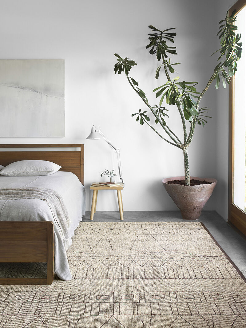 Odyssey OD01 Collection