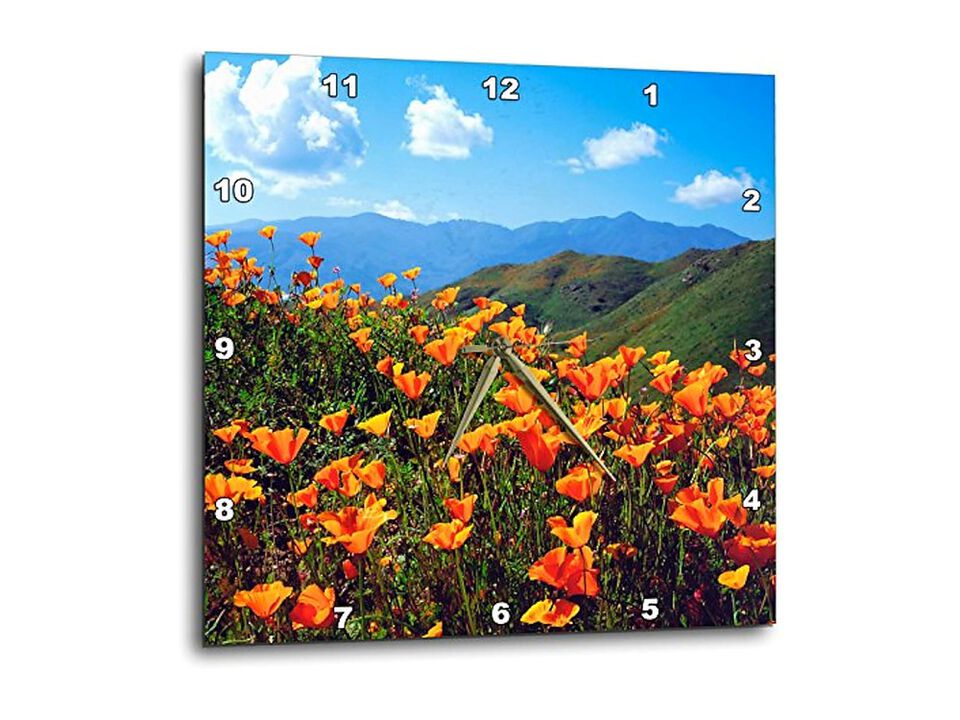 California Lake Elsinore Poppies Hillside Wall Clock 13 Inch Home Decor