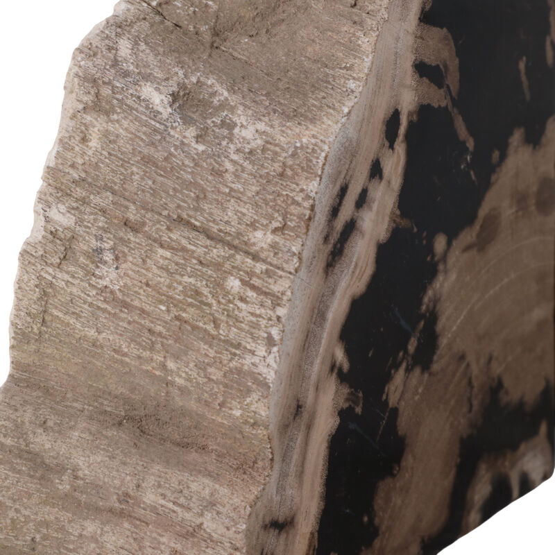 S/2 7" Petrified Wood Bookends image number 5