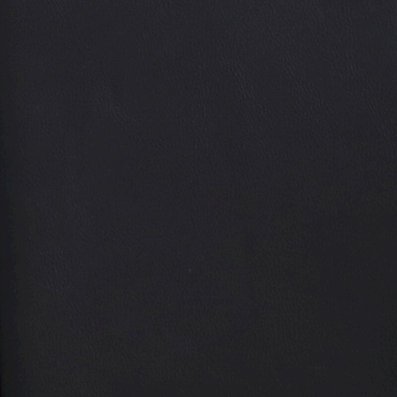 Meridian Furniture Adrian Black Vegan Leather Dining Side Chair, Set of 2