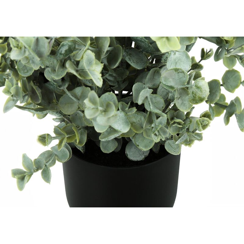 Monarch Specialties I 9580 - Artificial Plant, 11" Tall, Eucalyptus Grass, Indoor, Faux, Fake, Table, Greenery, Potted, Set Of 2, Decorative, Green Leaves, Black Pots image number 3