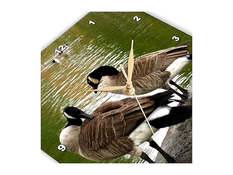 Canada Geese Preening Waters Edge Wall Clock 10 Inch Home Decor image number 3