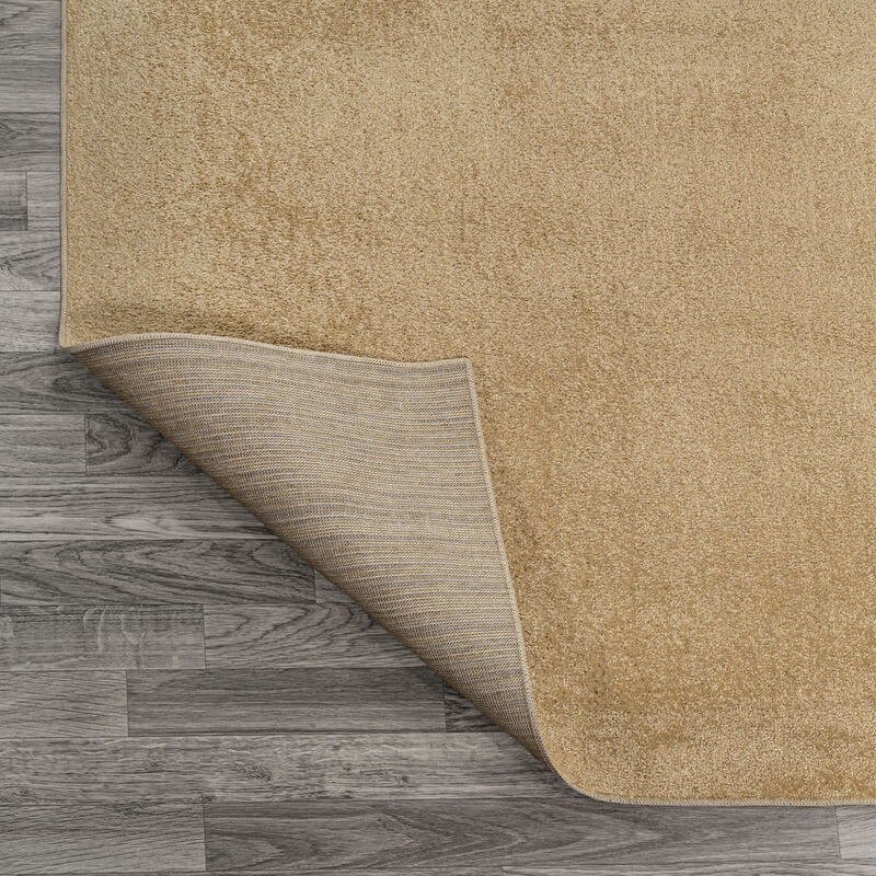Twyla Classic Solid Low-Pile Machine-Washable Area Rug