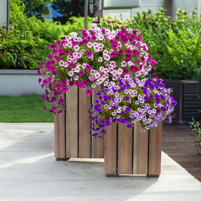 Sunnydaze 2-Piece Acacia Square Planter Boxes with Liners