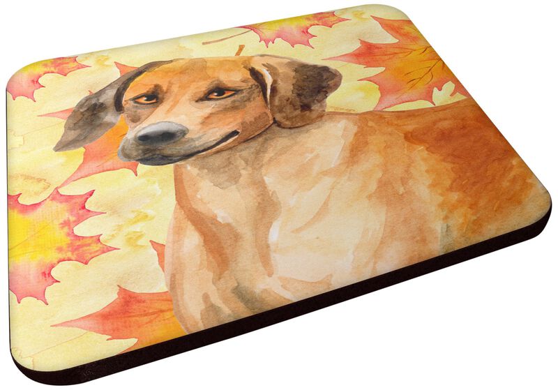 Caroline's Treasures Rhodesian Ridgeback Fall Decorative coasters, Multicolor