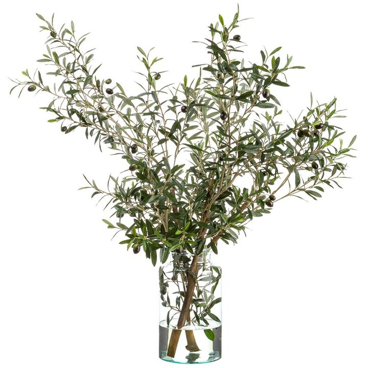 Olive Tree Branches in Glass Vase