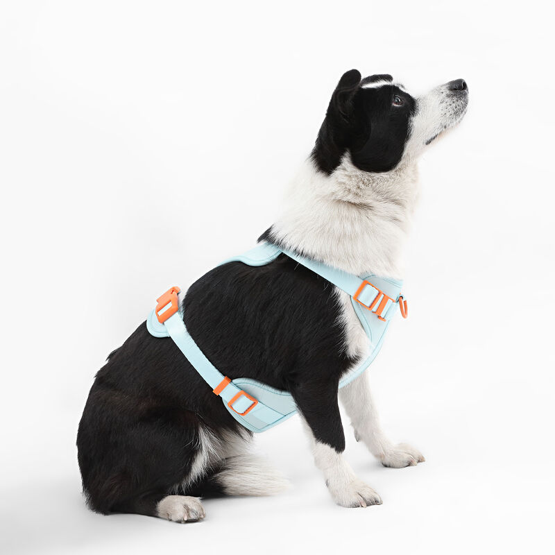 Arlo Adjustable Soft Padded No Pull Pet Harness with 3 Buckles and 3 Leash Clips