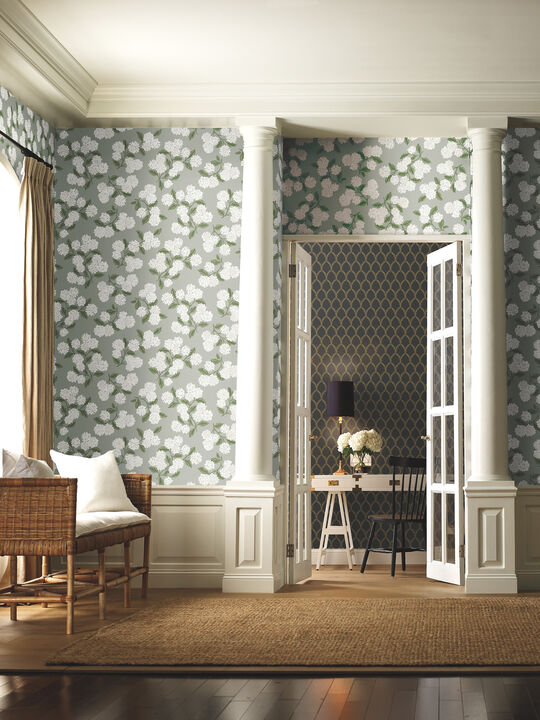 Hydrangea Grey Wallpaper