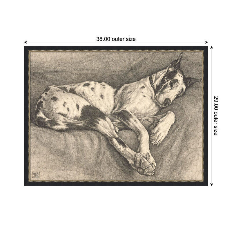Sleeping Hound, 1930 by Bertha Van hasselt Framed Canvas Wall Art image number 2