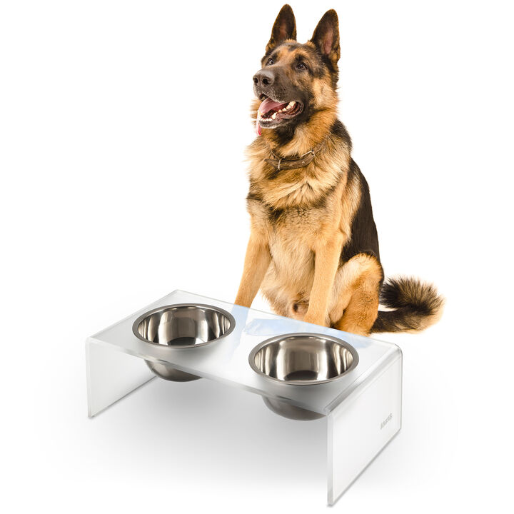 Keaton Modern Acrylic Rectangular Elevated Pet Feeder with Stainless Steel Bowls