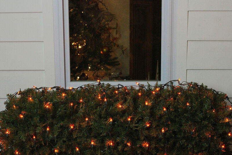 4' x 6' Orange Mini Incandescent Net Style Christmas Lights - Green Wire image number 2