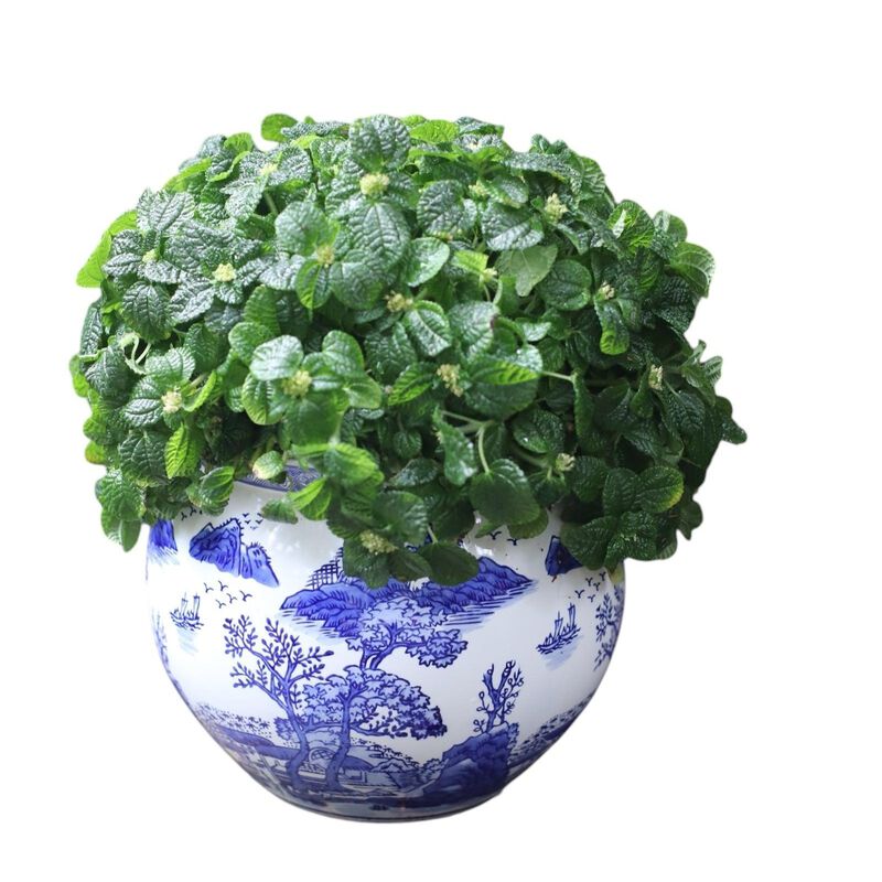 Euro Ceramica Blue & White Landscape Design 11" Ceramic Planter Pot image number 0