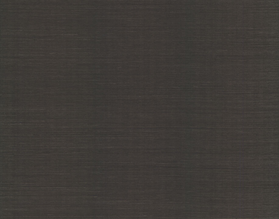 Plain Sisal Grasscloth Black Wallpaper