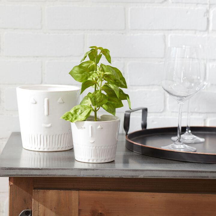 Decorative Planter (Set of 2) – Elegant Pots for Indoor and Outdoor Plant Display