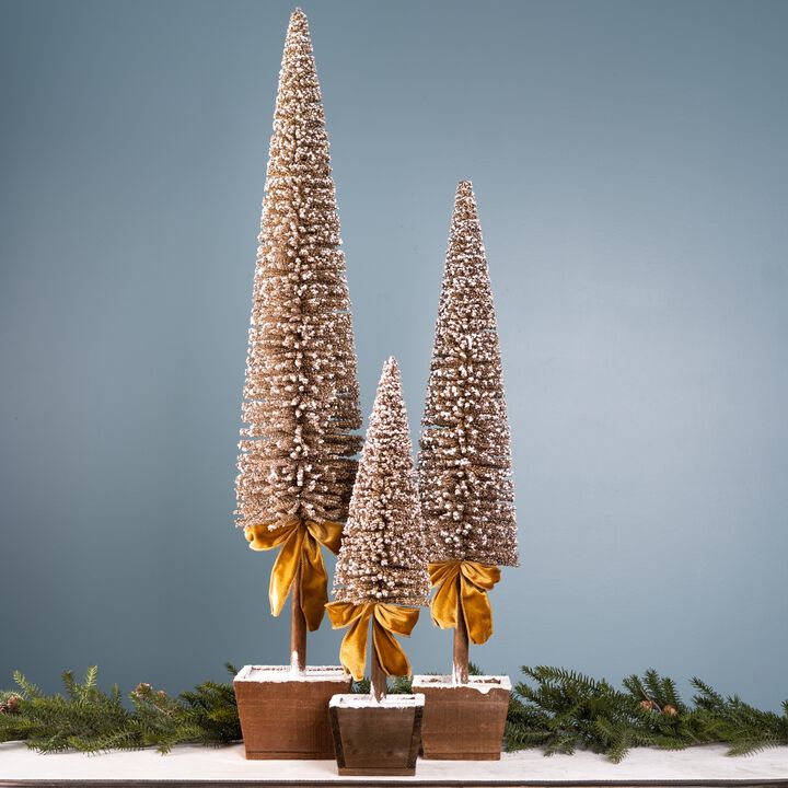 Potted Tree Decor for Indoor or Outdoor Home and Garden Styling (Set of 3)