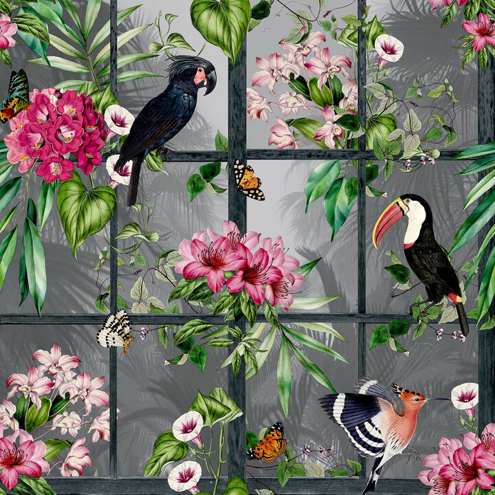 Dorothea Multicolor Tropical Birds Wallpaper