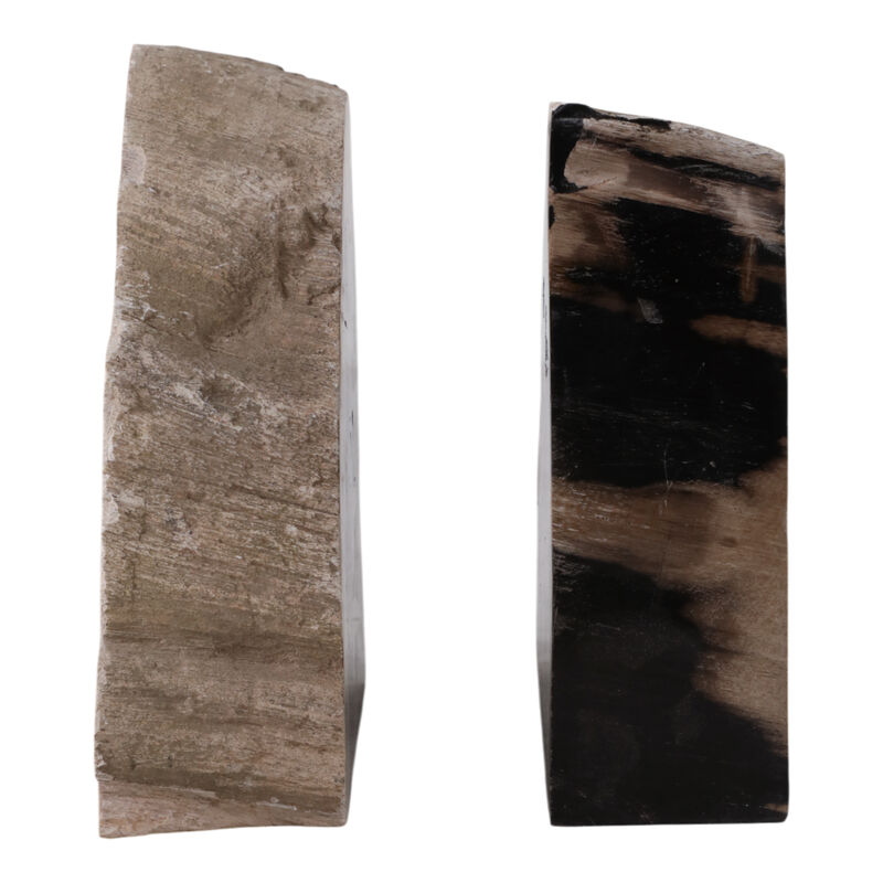 S/2 7" Petrified Wood Bookends image number 3