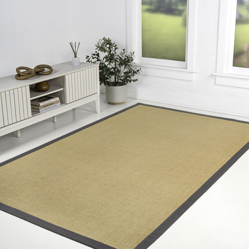 Camden Farmhouse Cottage Border Jute Area Rug