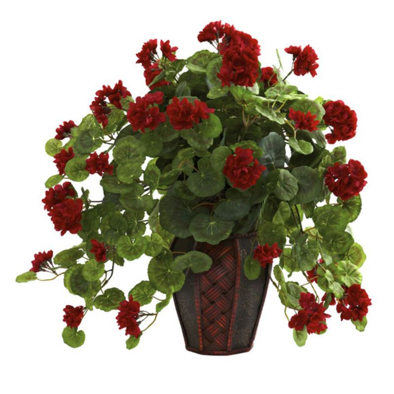 Hivvago Geranium w/Decorative Planter
