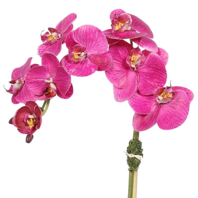 Faux Orchid Plant in Square Vase - 20" image number 5