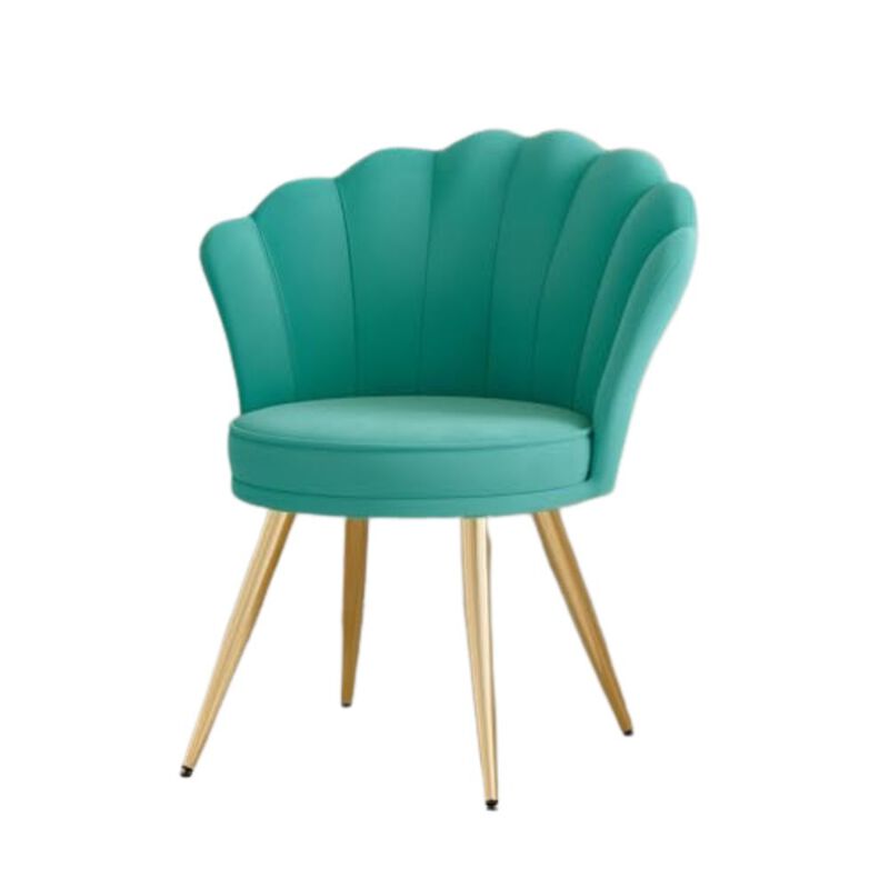 Modern Accent Chair Armchair for Living Room Bedroom Single Sofa Lounge Seating image number 0