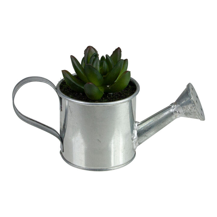 6" Tropical Mini Artificial X Pachyveria Succulent in Watering Can